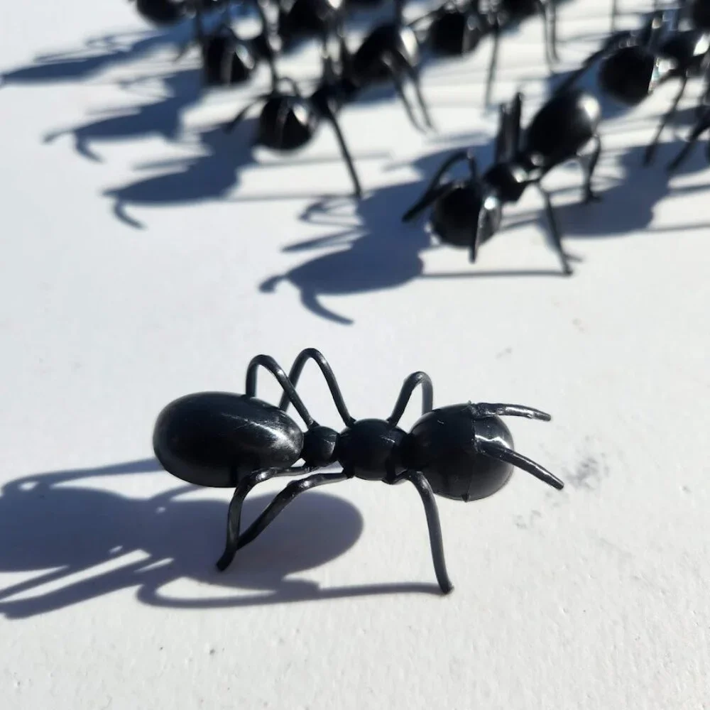 24 Ant Insects Cupcake Cake Toppers Picks New Party Supplies DIY Baking Decor Bl